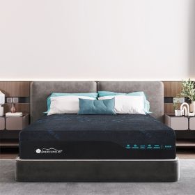 Presidential Lux King, 14" Silkfoam Technology, Charcoal Memory Foam with Ice Feel Cooling Knitted Fabric